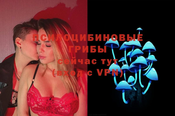 ECSTASY Алзамай