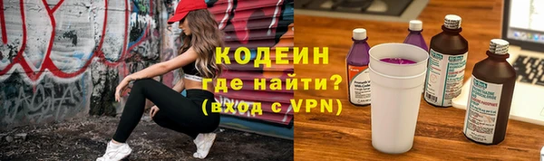 ECSTASY Алзамай